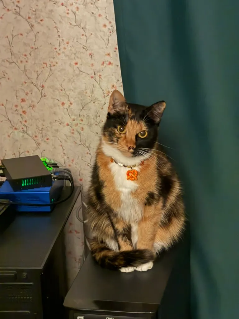 E488480B-CBC6-4889-9600-AC8BE4FA8399_1_105_c.jpeg